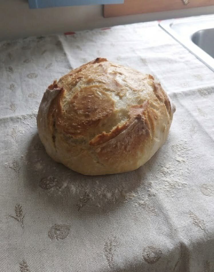 Crusty white round loaf